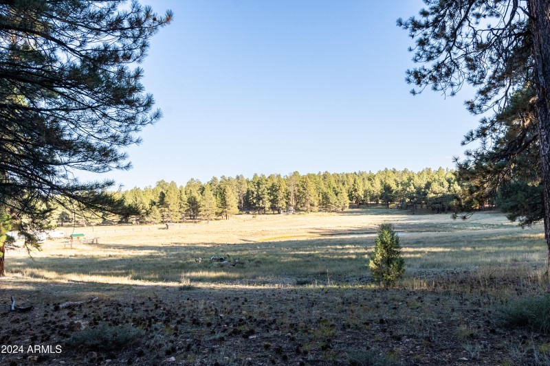 Field
