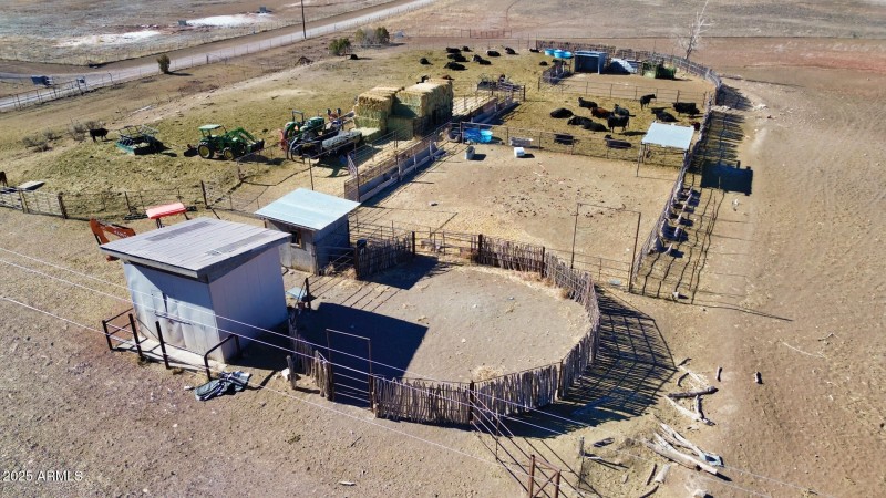 Cattle Pens