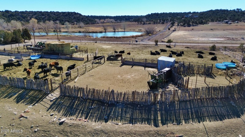 Cattle Pens 2