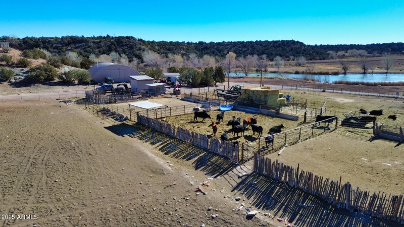 Cattle Pens 3