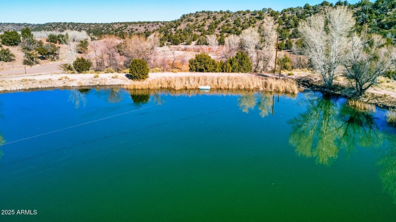 Pond