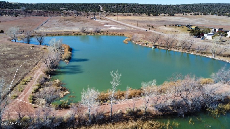 Pond 3