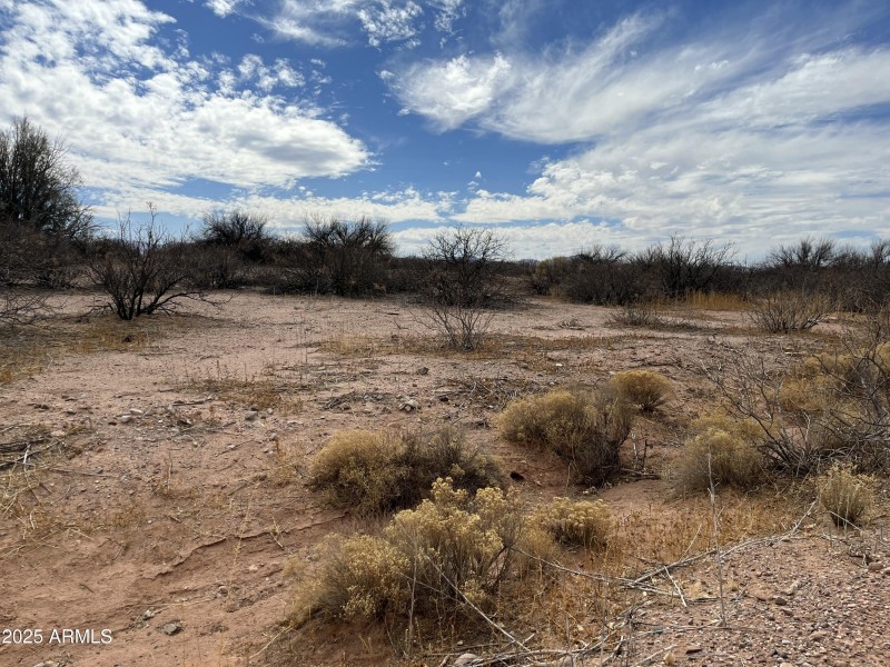 Land View IMG_1403