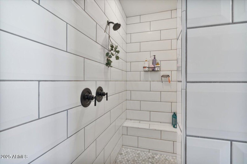 Primary bathroom Shower