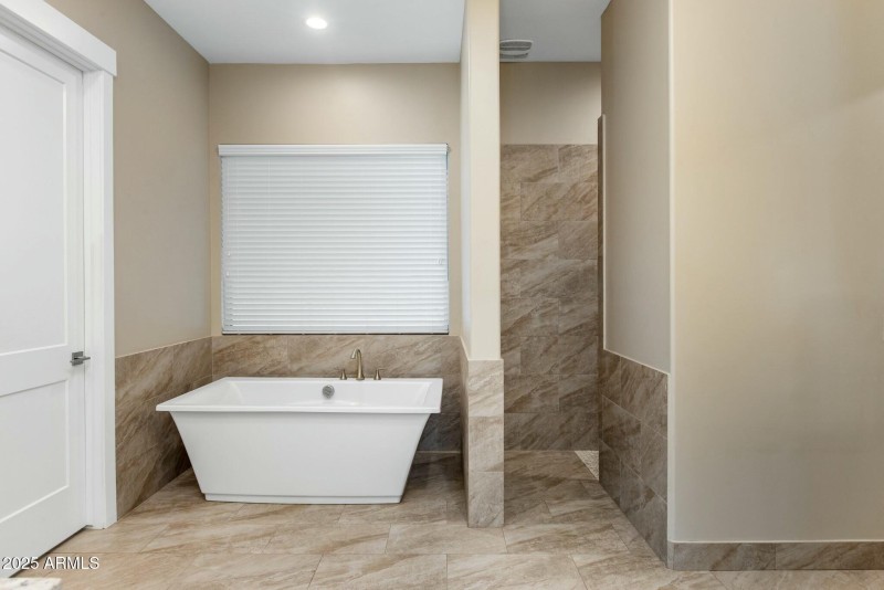 Primary Soaking Tub and Shower