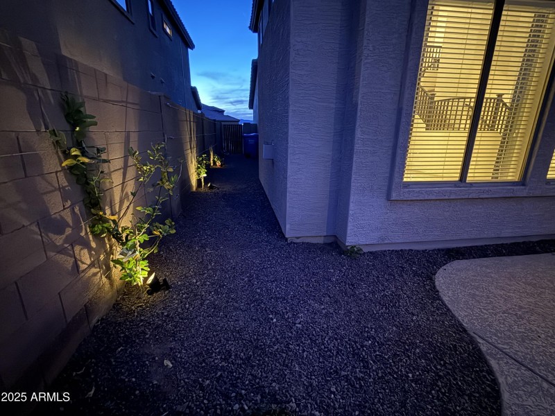 Lighted Citrus Trees