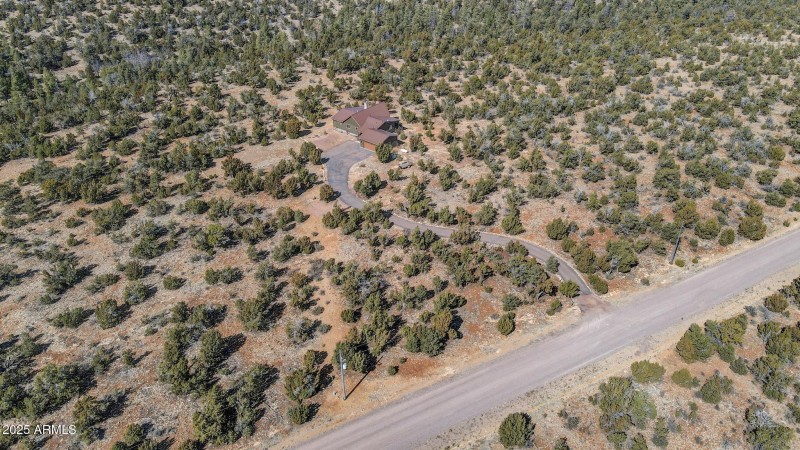 DJI_0303_4_5 copy