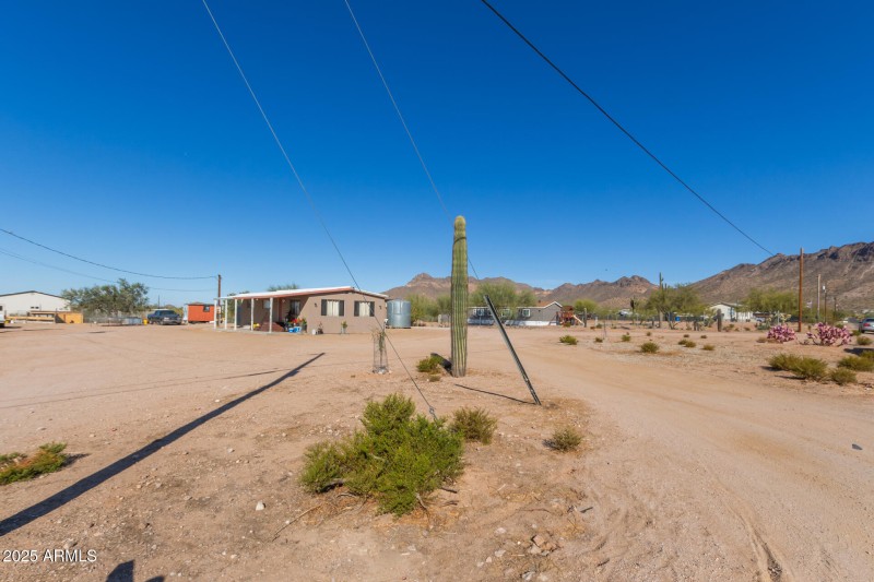 02 - Saguaro
