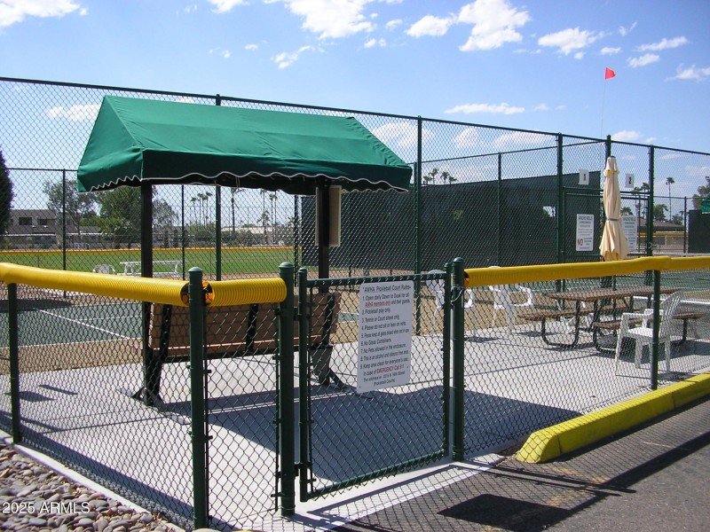 Pickle Ball
