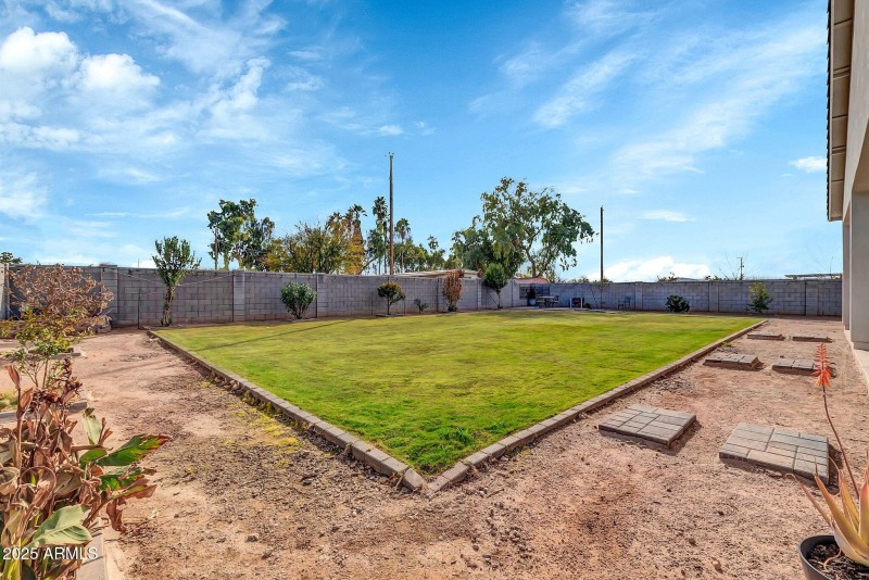 Backyard