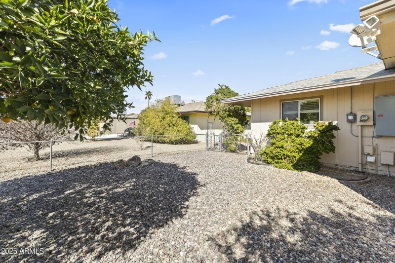 Backyard & Backyard & Fruit Trees