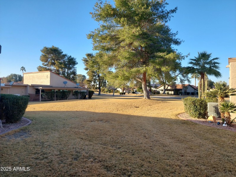 view
