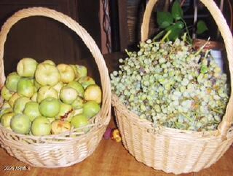 Harvest