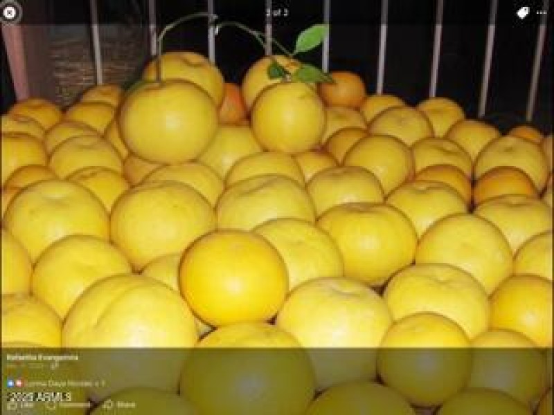 Harvest