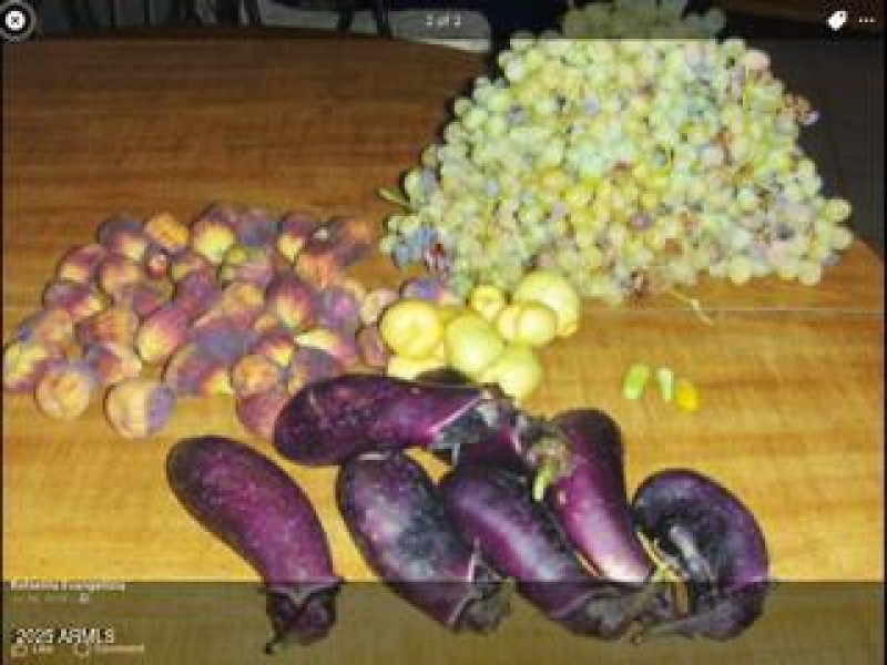Harvest
