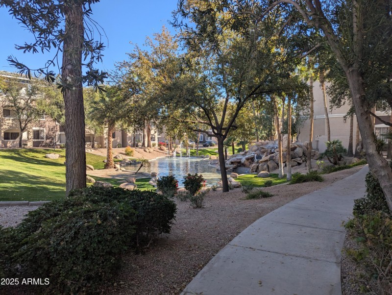 Community area by lake