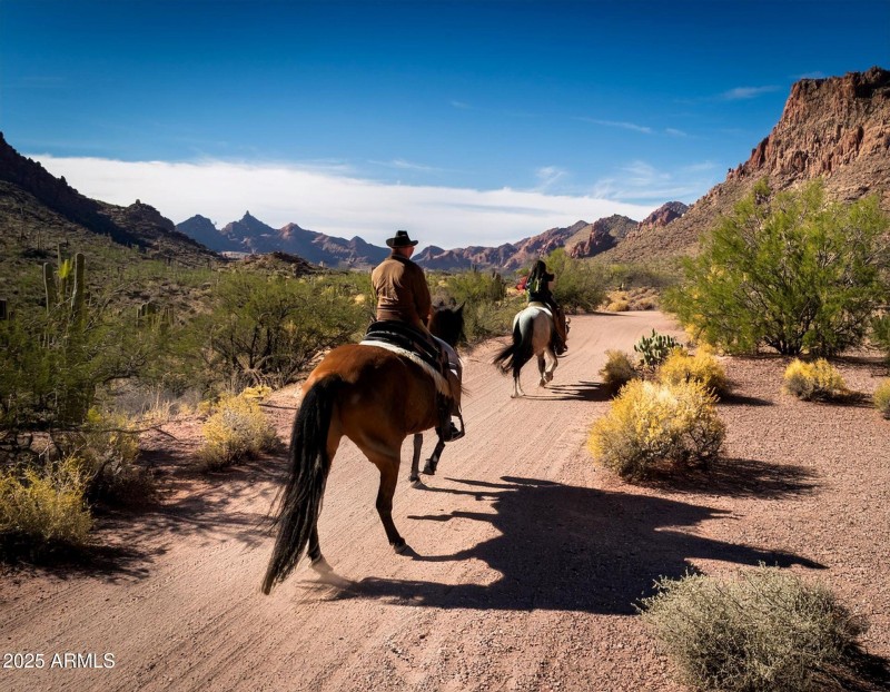 horseback2