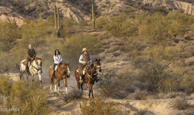 horseback