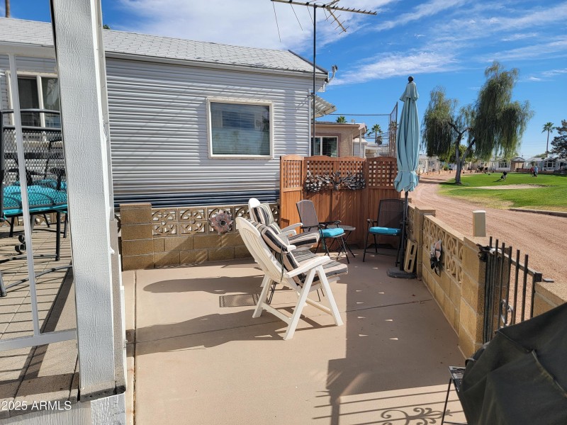 back yard