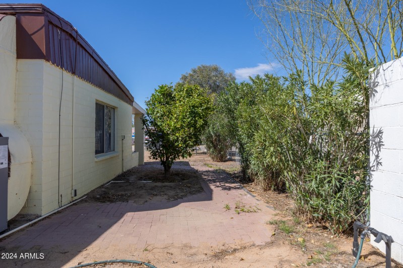 Side Yard