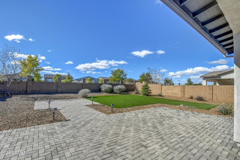 Back Yard 1