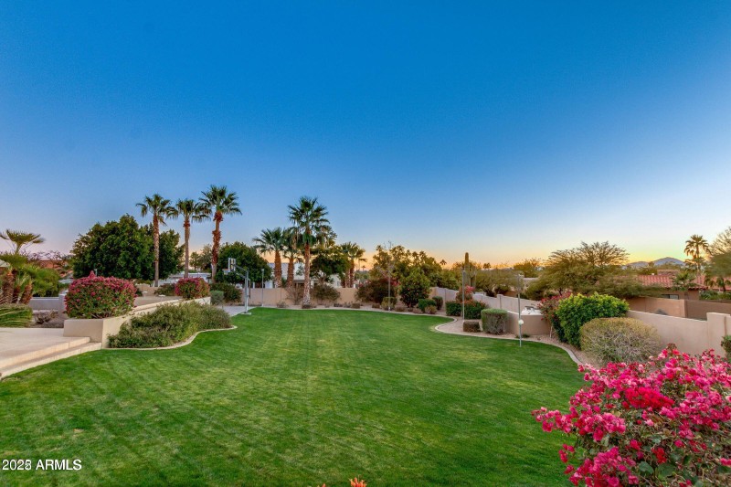 Backyard