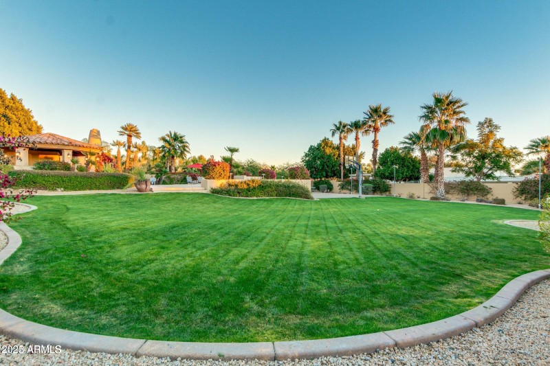 Backyard