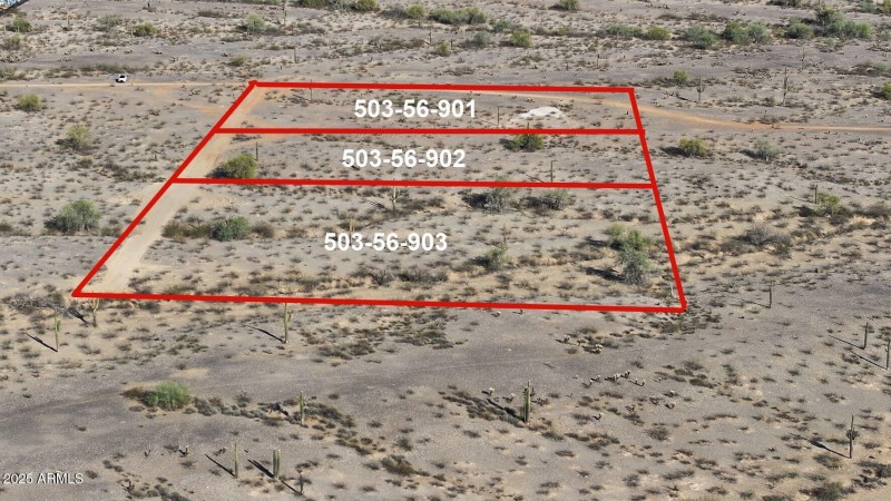 Property Lines with Lot IDs