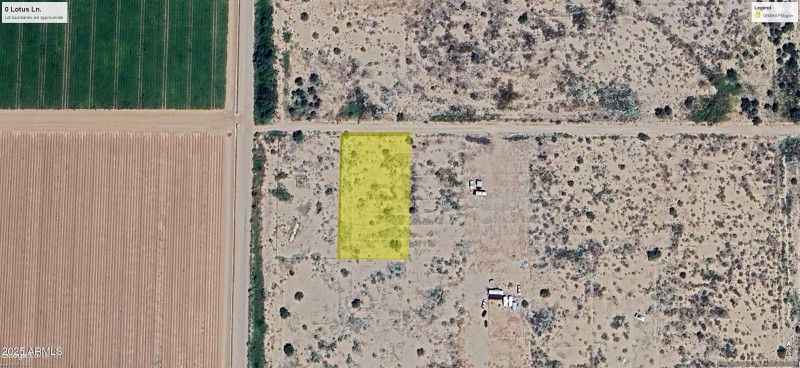Lot 39 1