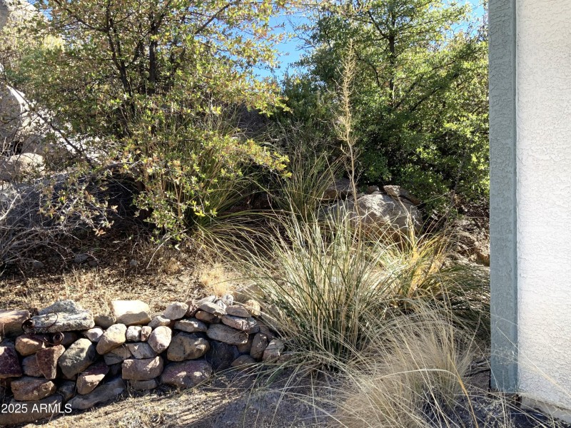 side yard