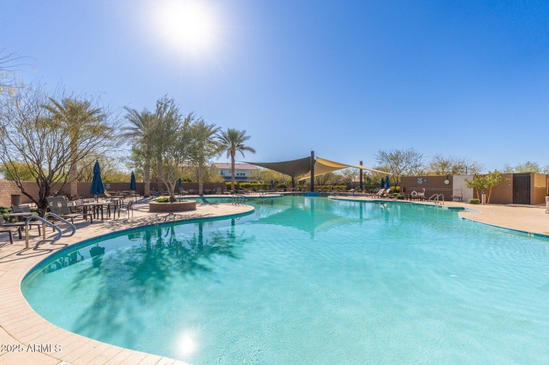Large Pool
