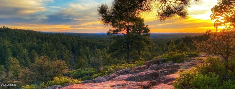 Pinetop Lakeside Ridge