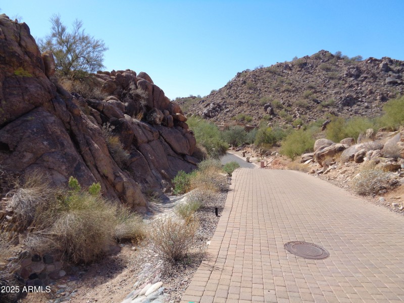 Looking down driveway