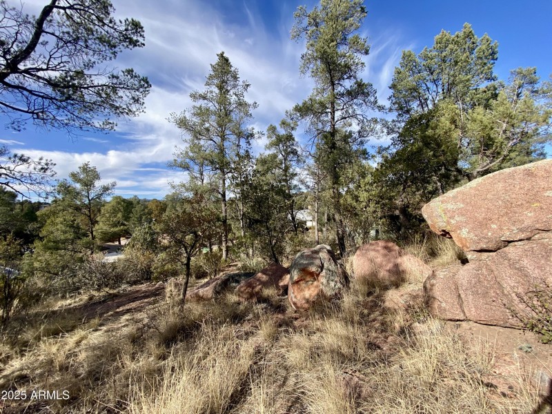 Backyard Boulders