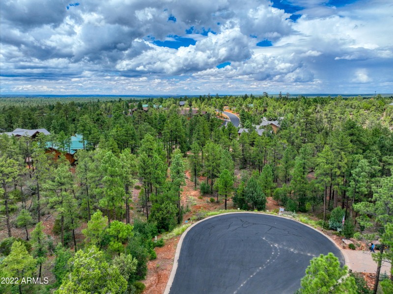 Arial view of cul-de-sac