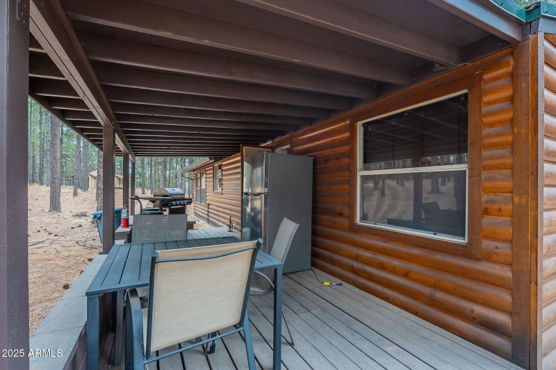 Back patio