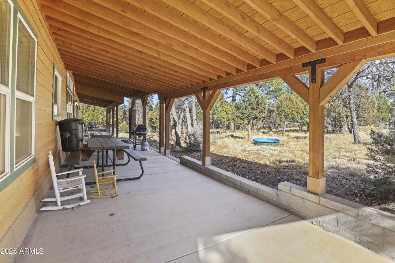 Back Patio 2