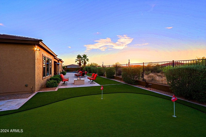 Backyard 20