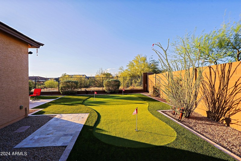 Backyard 13