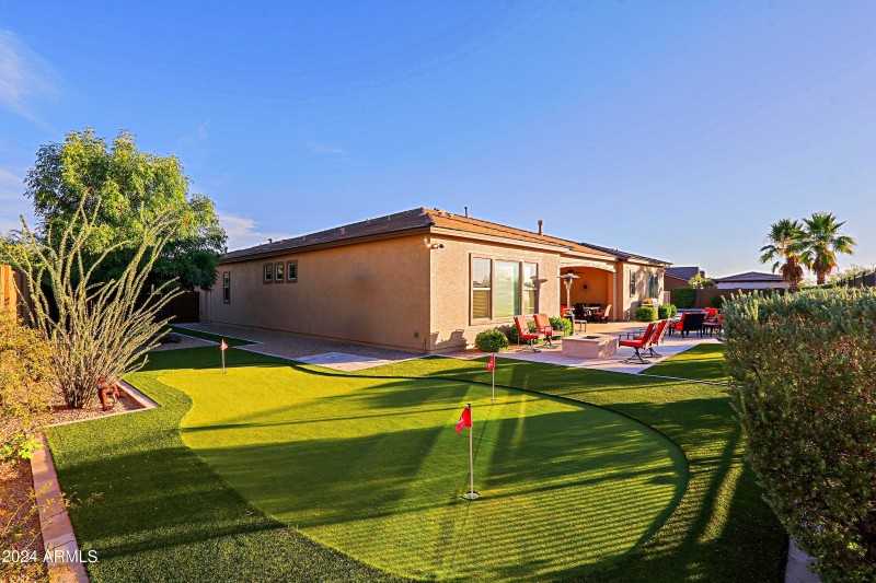 Backyard 16