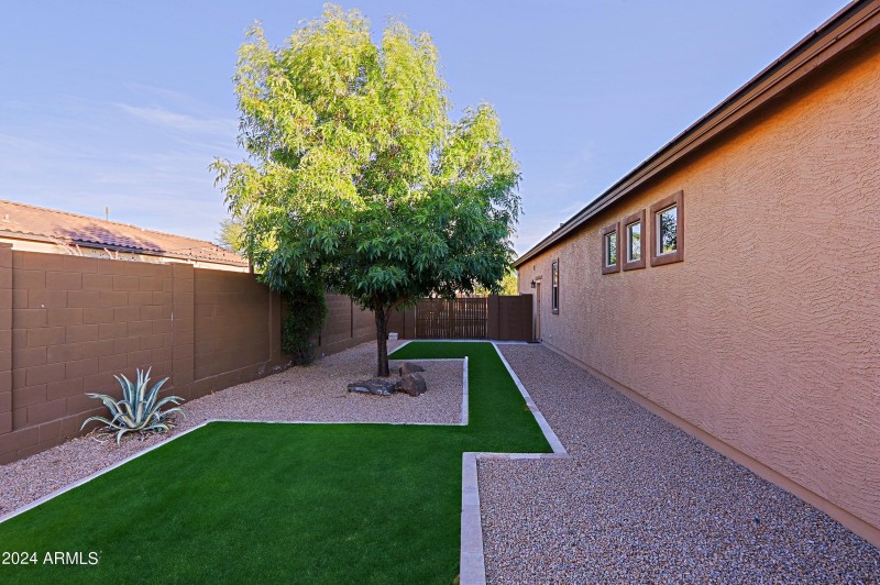 Backyard 14