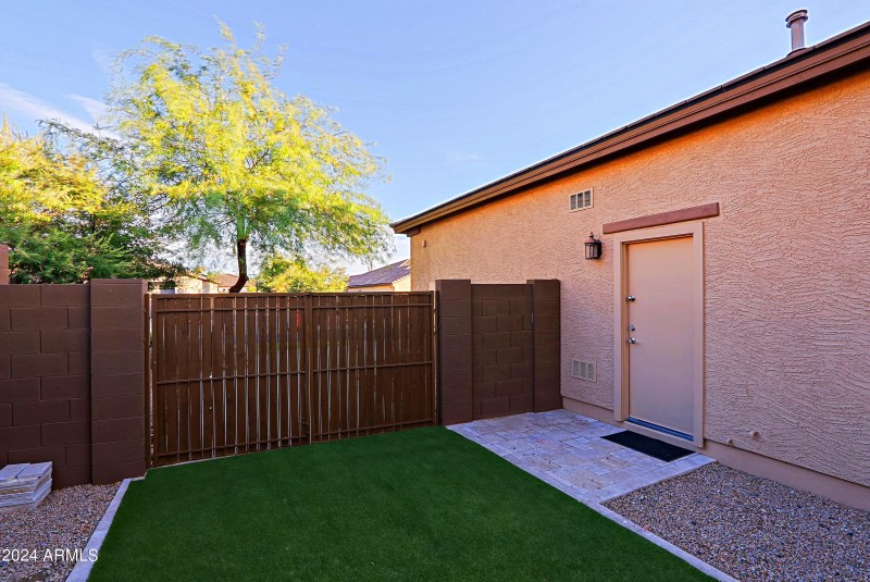 Backyard 15