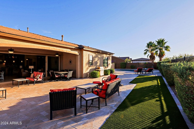 Backyard 11