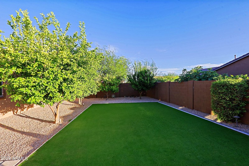 Backyard 4
