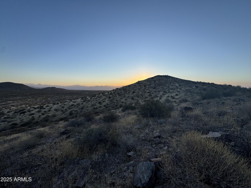 View from the center of the lot