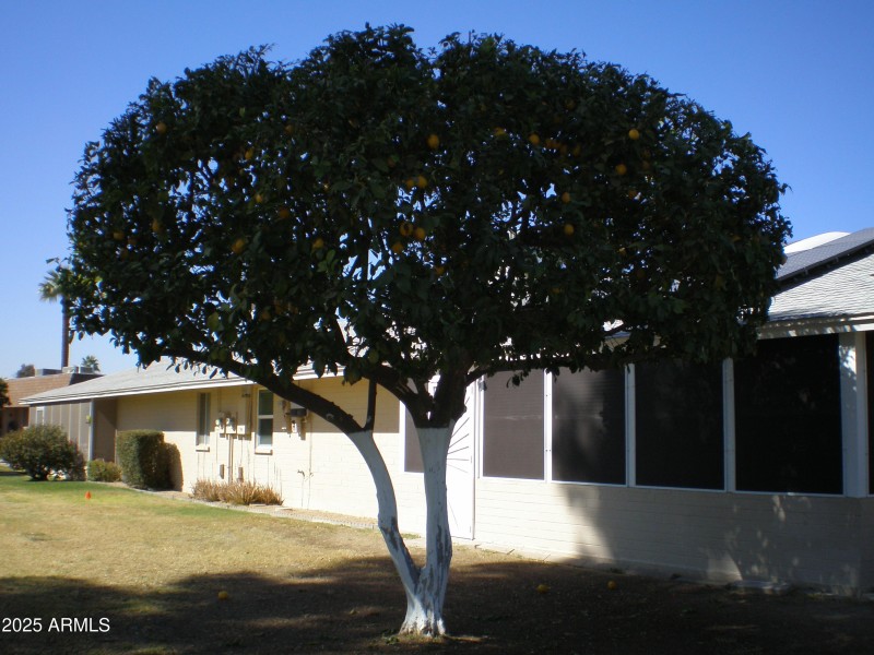 P1010218