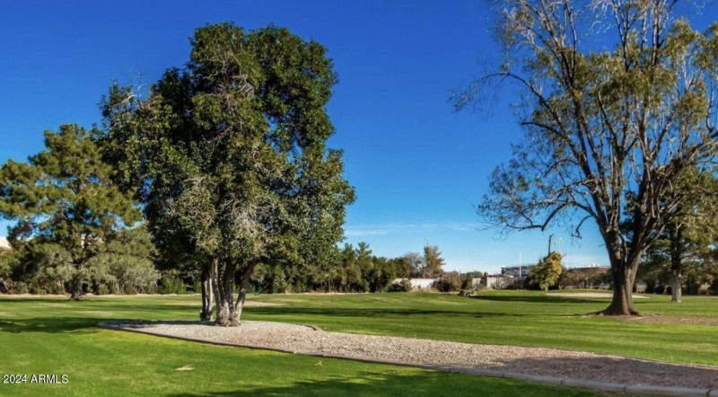 golfcourse