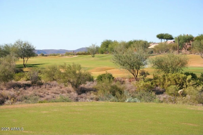 Persimmon #15