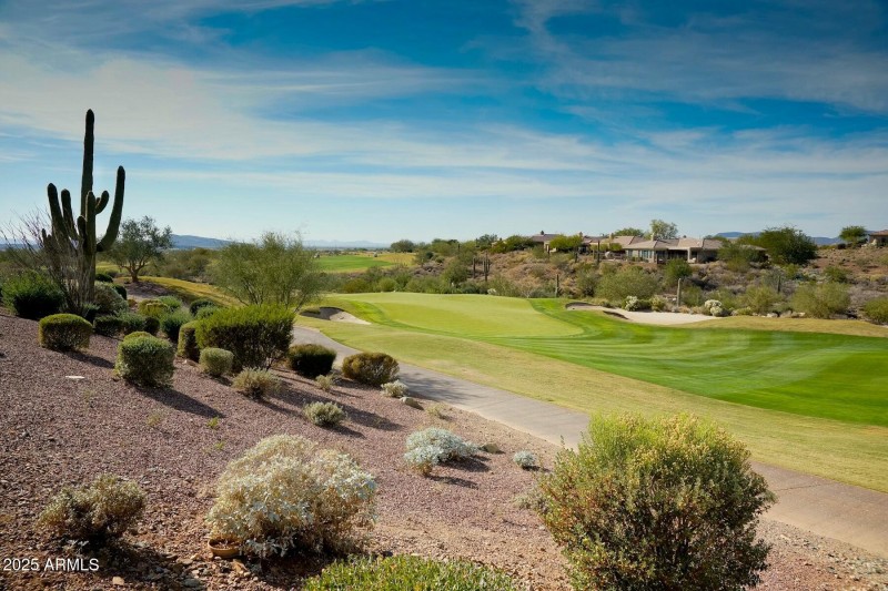 Persimmon #18