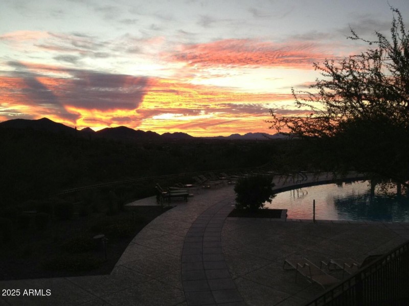 Ironwood